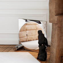 Load image into Gallery viewer, Moonsetter LED Floor Lamp in living room.
