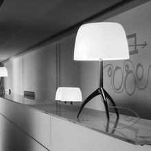 Load image into Gallery viewer, Lumiere Table Lamp - Exhibition.

