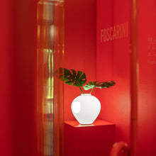 Load image into Gallery viewer, Madre LED Table Lamp - Exhibition.
