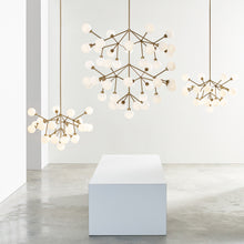 Load image into Gallery viewer, Mara LED Chandelier in exhibition.
