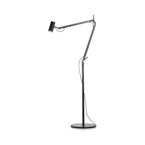 Polo LED Floor Lamp.