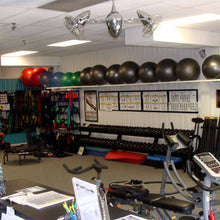 Load image into Gallery viewer, Ar Ruthiane Ceiling Fan in gym room.
