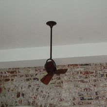 Load image into Gallery viewer, Bianca Direcional Ceiling Fan in Detail.
