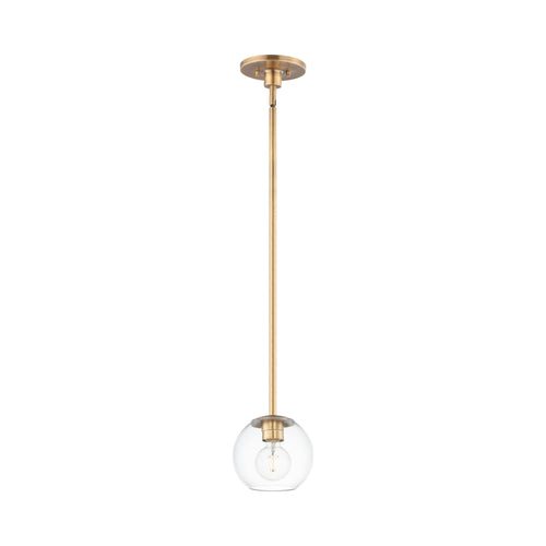 Branch Mini Pendant Light.
