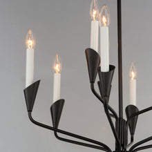 Load image into Gallery viewer, Calyx Chandelier in Detail.
