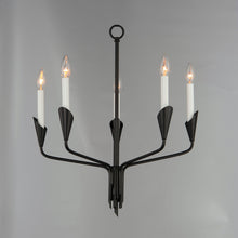 Load image into Gallery viewer, Calyx Chandelier in Detail.
