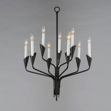 Load image into Gallery viewer, Calyx Chandelier in Detail.
