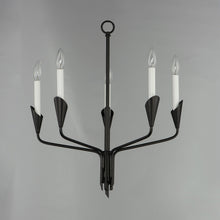 Load image into Gallery viewer, Calyx Chandelier in Detail.
