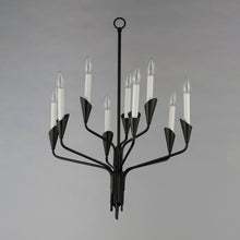 Load image into Gallery viewer, Calyx Chandelier in Detail.
