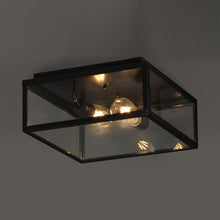 Load image into Gallery viewer, Catalina Outdoor Flush Mount Ceiling Light in Detail.
