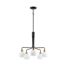 Load image into Gallery viewer, Coraline Chandelier in Bronze/Satin Brass (5-Light).
