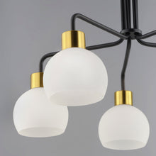 Load image into Gallery viewer, Coraline Chandelier in Detail.

