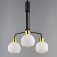 Load image into Gallery viewer, Coraline Chandelier in Detail.

