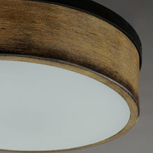 Load image into Gallery viewer, Franklin Flush Mount Ceiling Light in Detail.
