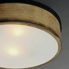 Load image into Gallery viewer, Franklin Flush Mount Ceiling Light in Detail.

