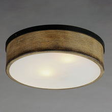Load image into Gallery viewer, Franklin Flush Mount Ceiling Light in Detail.
