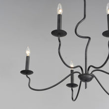 Load image into Gallery viewer, Padrona Chandelier in Detail.
