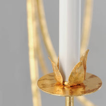 Load image into Gallery viewer, Paloma Chandelier Light in Detail.
