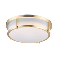 Load image into Gallery viewer, Rogue Flush Mount Ceiling Light in Satin Brass (1-Light).
