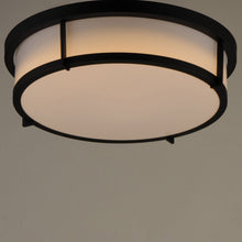 Load image into Gallery viewer, Rogue Flush Mount Ceiling Light in Detail.
