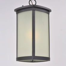 Load image into Gallery viewer, Terrace Outdoor LED Pendant Light in Detail.
