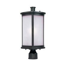 Load image into Gallery viewer, Terrace Outdoor Post Light in Incandescent/Frosted Seedy/Bronze.
