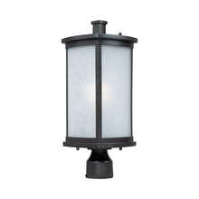Load image into Gallery viewer, Terrace Outdoor Post Light in LED/Frosted Seedy/Bronze.
