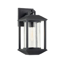 Load image into Gallery viewer, McCarthy Outdoor Wall Light (1-Light).
