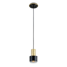 Load image into Gallery viewer, Melrose Pendant Light (1-Light).
