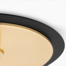 Load image into Gallery viewer, Milo Flush Mount Ceiling Light Detail.
