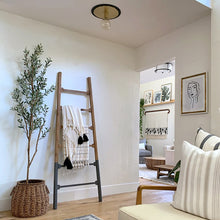 Load image into Gallery viewer, Milo Flush Mount Ceiling Light in living room.
