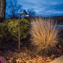 Load image into Gallery viewer, Mini Accent LED Path Light in outside area.
