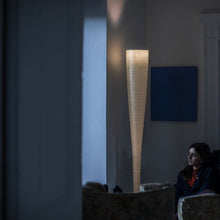 Load image into Gallery viewer, Mite Floor Lamp in living room.
