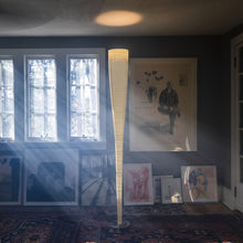 Load image into Gallery viewer, Mite Floor Lamp - Exhibition.
