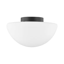Load image into Gallery viewer, Andrea Flush Mount Ceiling Light (Large).

