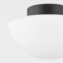 Load image into Gallery viewer, Andrea Flush Mount Ceiling Light in Detail.
