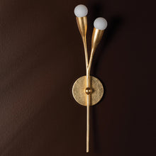 Load image into Gallery viewer, Elsa Wall Light in Detail.
