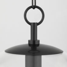 Load image into Gallery viewer, Juliana Pendant Light in Detail.
