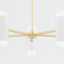 Load image into Gallery viewer, Kira Chandelier in Detail.

