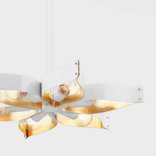 Load image into Gallery viewer, Nala Chandelier Light in Detail.
