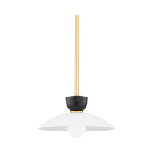 Load image into Gallery viewer, Whitley Pendant Light in Small/Aged Brass.
