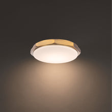Load image into Gallery viewer, Grommet LED Flush Mount Ceiling Light in Detail.
