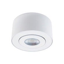 Load image into Gallery viewer, I Spy Outdoor LED Flush Mount Ceiling Light in White.

