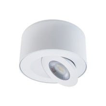 Load image into Gallery viewer, I Spy Outdoor LED Flush Mount Ceiling Light in Detail.
