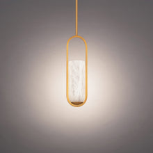 Load image into Gallery viewer, Rollins LED Mini Pendant Light in Detail.
