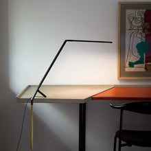 Load image into Gallery viewer, Bird LED Table Lamp in living room.

