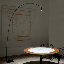 Load image into Gallery viewer, Fox LED Floor Lamp in living room.
