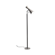 Load image into Gallery viewer, Parliament Floor Lamp in Whitewash /Grey.
