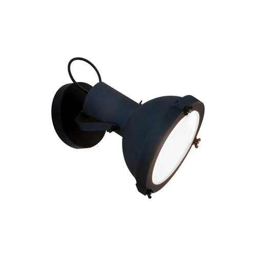 Projecteur Ceiling/ Wall Light.