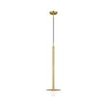 Load image into Gallery viewer, Nodes Pendant Light in Burnished Brass (30-Inch)..
